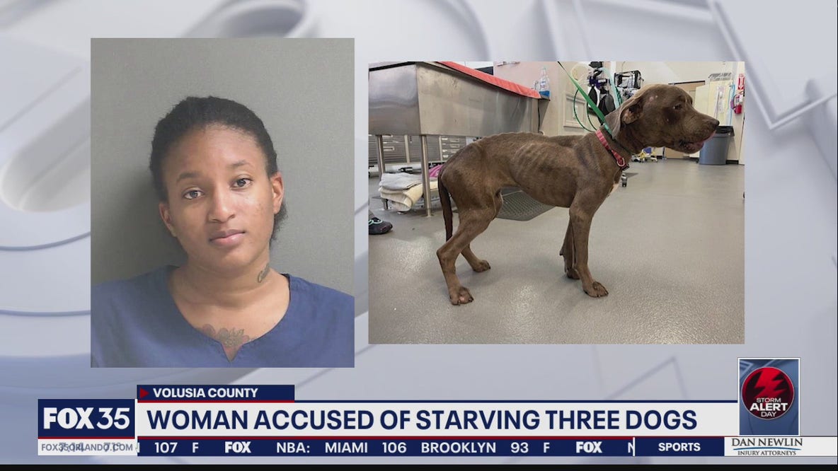 Daytona Beach woman accused of starving 3 dogs, deputies say